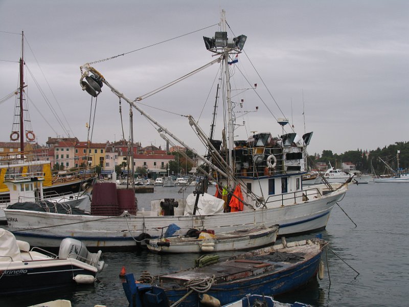 2012-09-13 13-10-23 Ludo.JPG